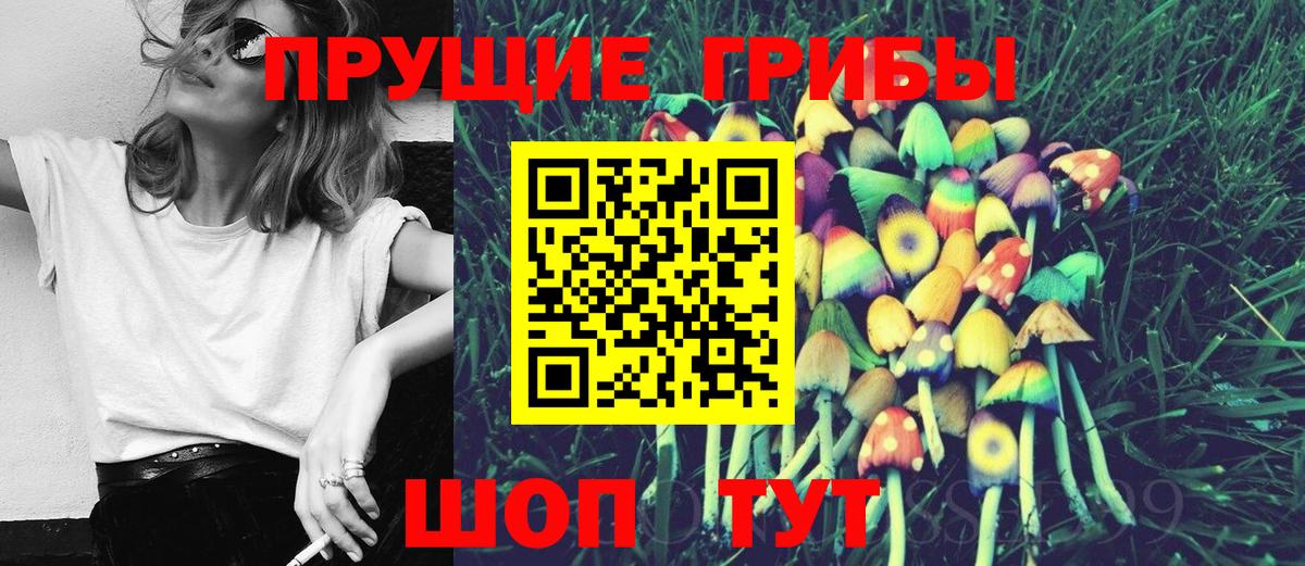 Псилоцибиновые грибы Psilocybe Чехов